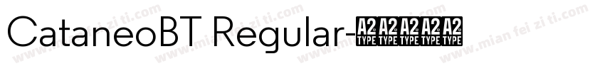 CataneoBT Regular字体转换